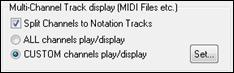 Lead Sheet Options dialog - Multi-channel track display option